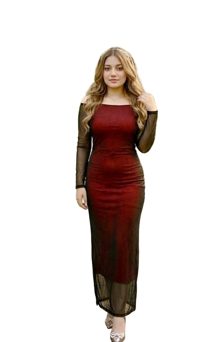 MODEL 069